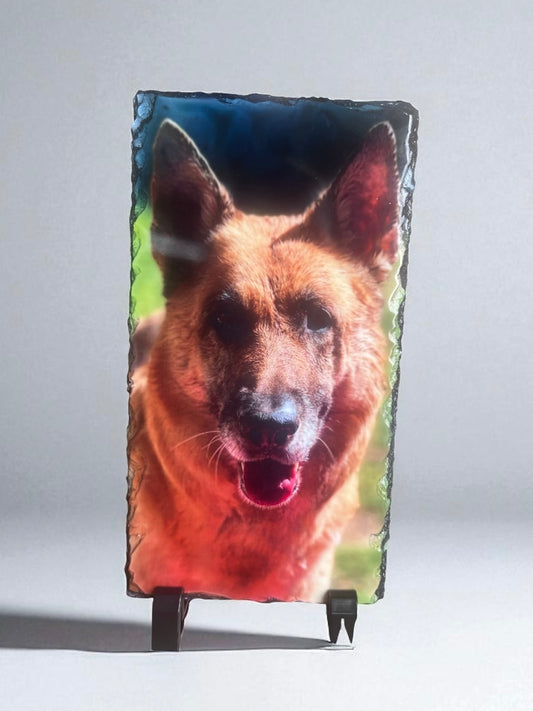 Medium Photo Slate